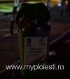 programul ROSAL Craciun 