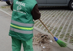 Rosal Ploiesti