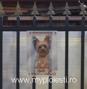 Cel mai haios poster de tip CAINE RAU din Ploiesti - FOTO