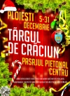 Craciun 2014 - Targul de Craciun - program 10 decembrie