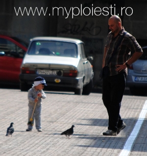 In Ploiesti e o vreme perfecta pentru pustiul tau. Scoate-l la plimbare!